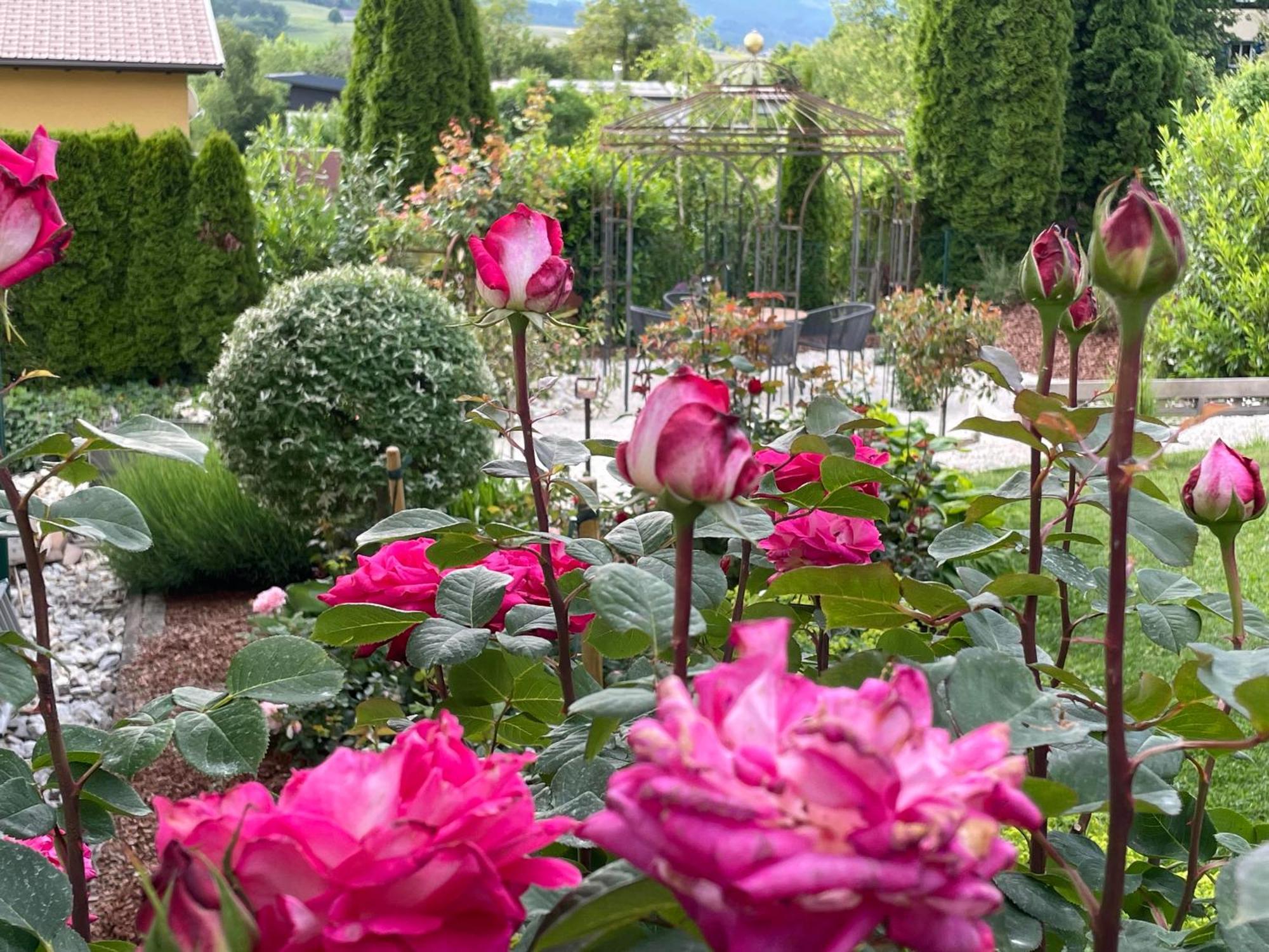 Bed And Breakfast Mittelkaernten Althofen  Extérieur photo